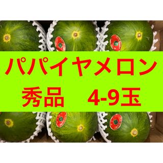 秀品パパイヤメロン　4-9玉 (フルーツ)