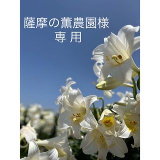 薩摩の薫農園様専用(野菜)