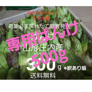 専用ばんけ約500g(野菜)