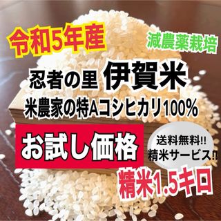 令和5年産伊賀米特Aコシヒカリ100%精米1.5キロ(農家直送)減農薬栽培(米/穀物)