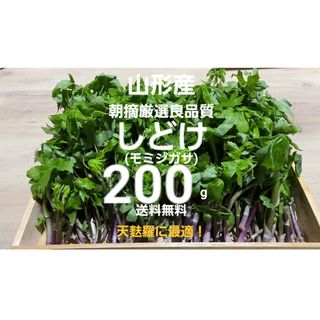 山形庄内鳥海山産　朝摘天然しどけ(モミジガサ)約200g　春野菜　山菜　天麩羅(野菜)