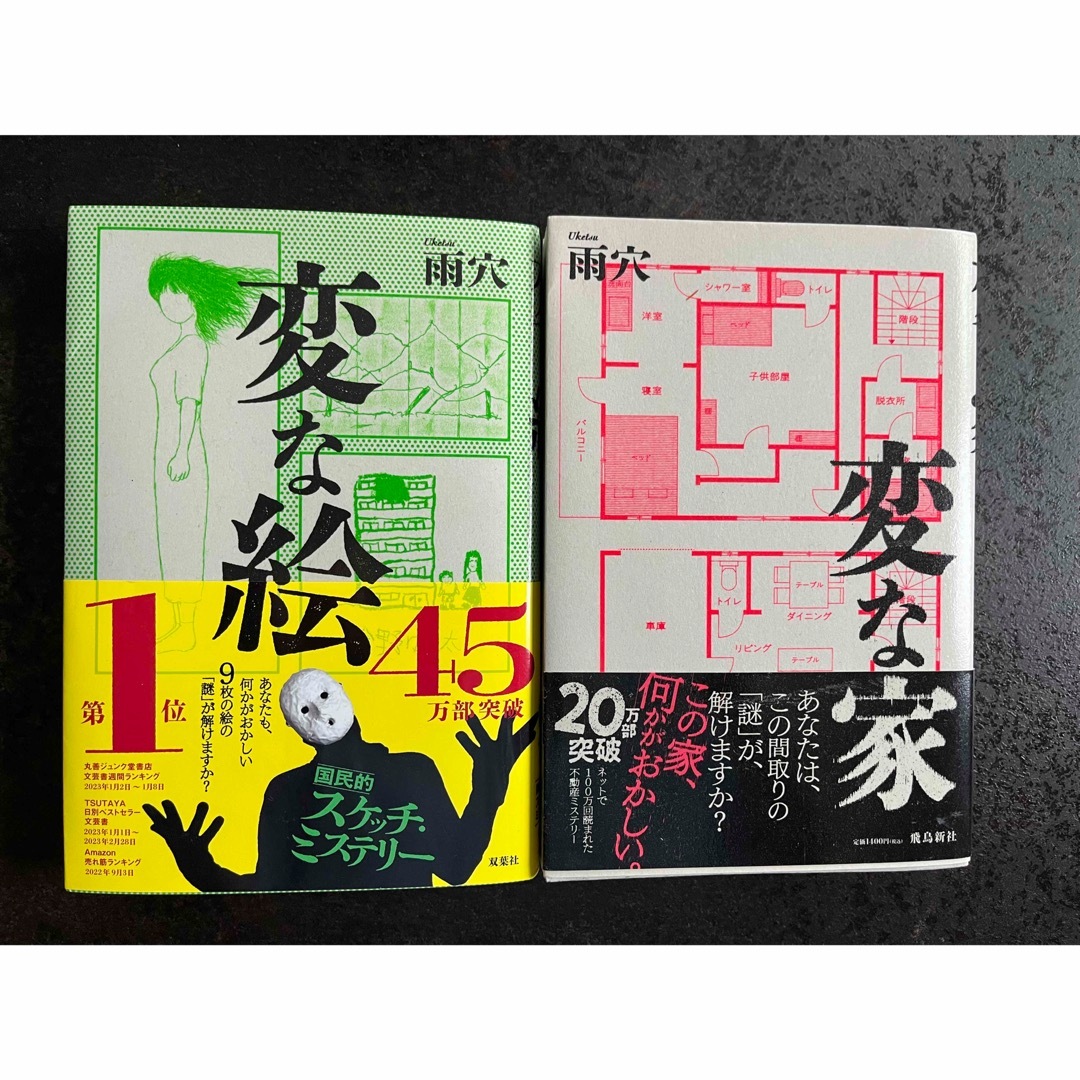 変な家　変な絵　セット エンタメ/ホビーの本(文学/小説)の商品写真