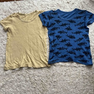 ニシマツヤ(西松屋)の西松屋　綿100％　サイズ120 Tシャツ2枚セット　ベージュ、シャークプリント(Tシャツ/カットソー)