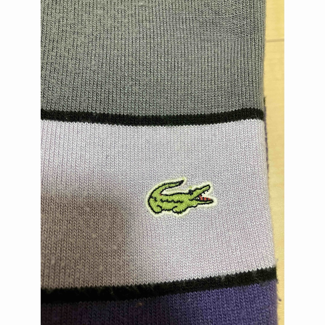 LACOSTE(ラコステ)のlacoste ラコステ　ボーダーニット レディースのトップス(ニット/セーター)の商品写真