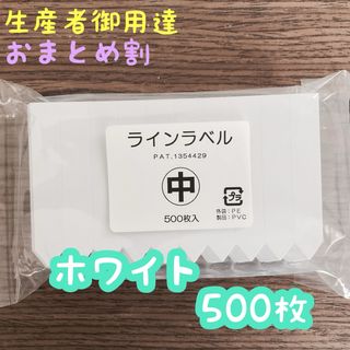 ラインラベル 中 白 500枚 園芸カラーラベル 多肉植物 エケベリア (プランター)