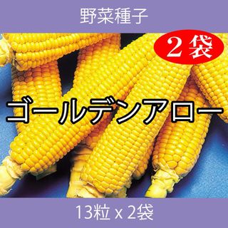 野菜種子 EBA ゴールデンアロー 13粒 x 2袋(野菜)