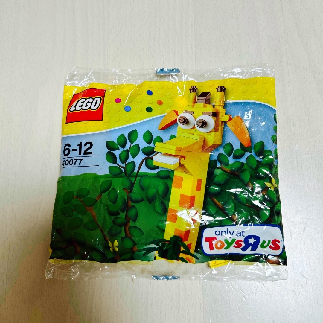 Lego(レゴ)のLEGO ブロック　40077 キッズ/ベビー/マタニティのおもちゃ(積み木/ブロック)の商品写真