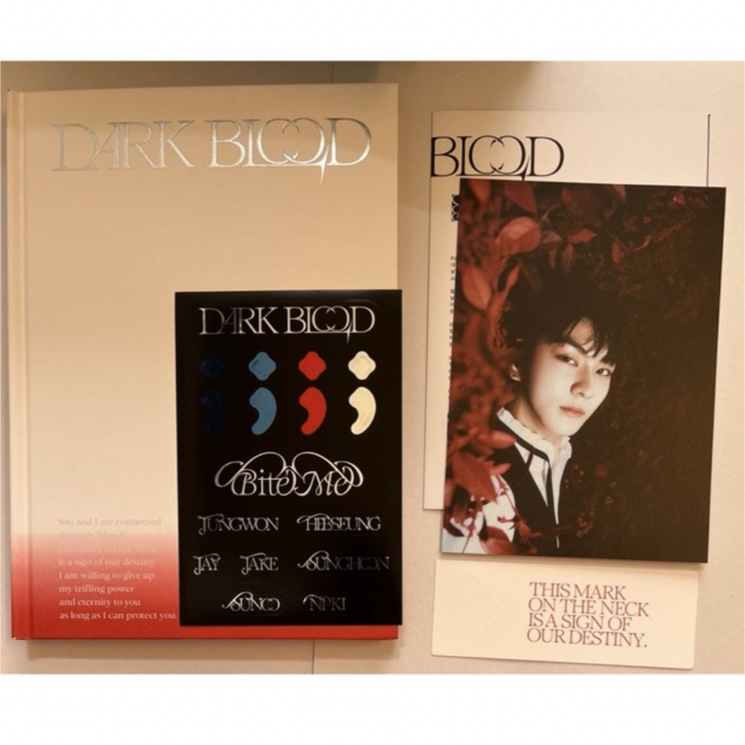 ENHYPEN darkblood アルバム ジョンウォン メンズのメンズ その他(その他)の商品写真