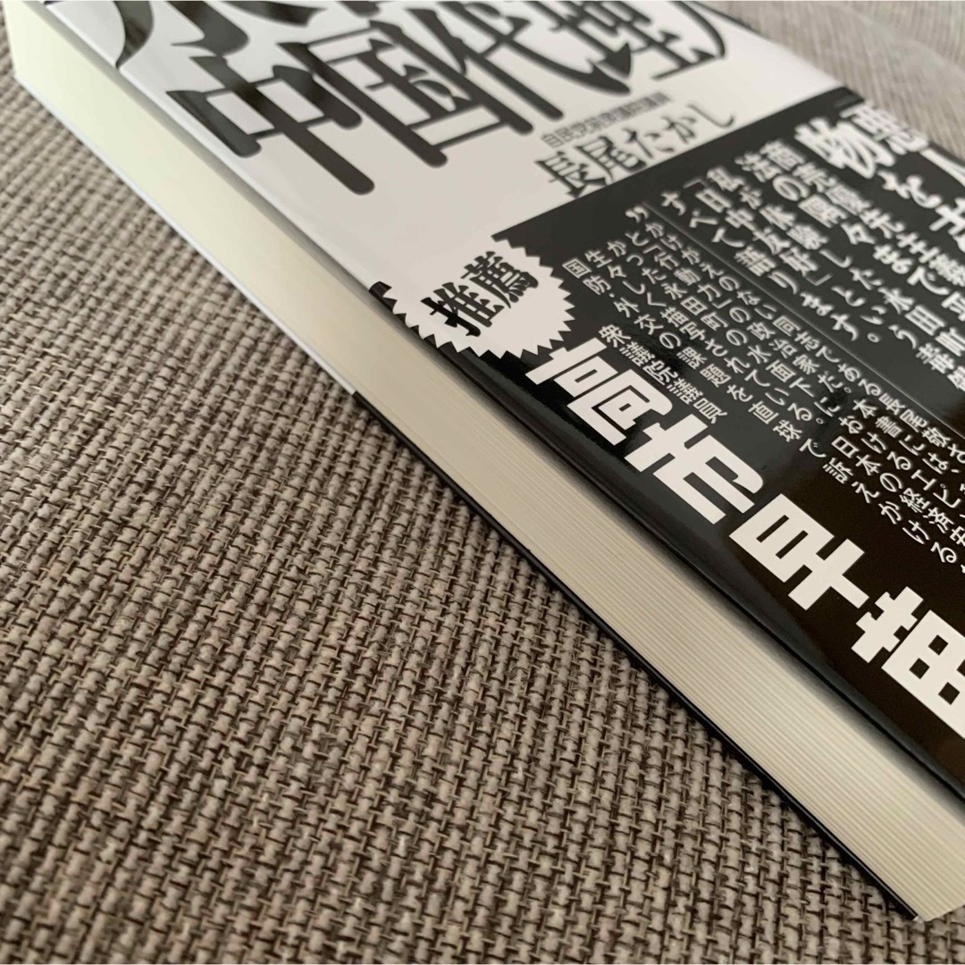 永田町中国代理人 エンタメ/ホビーの本(文学/小説)の商品写真