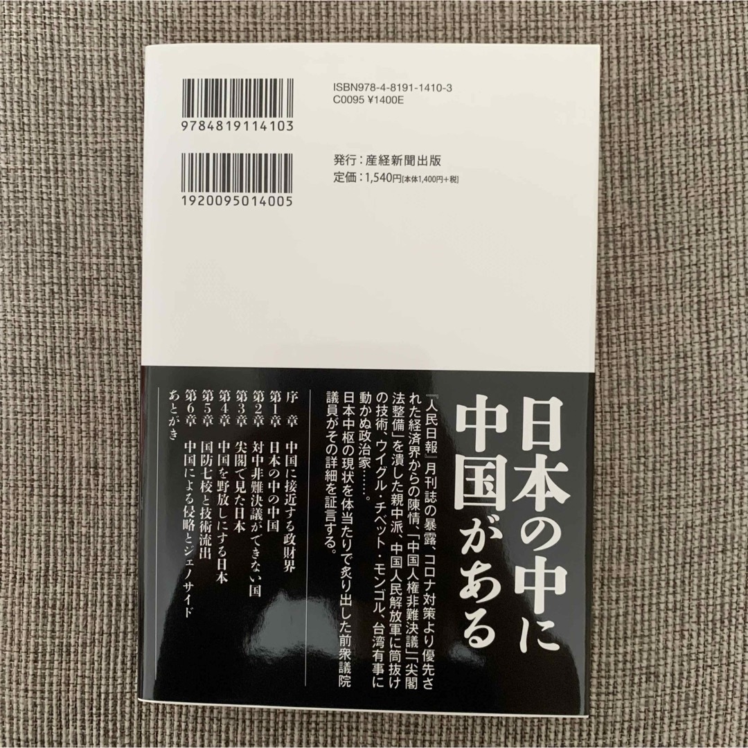 永田町中国代理人 エンタメ/ホビーの本(文学/小説)の商品写真