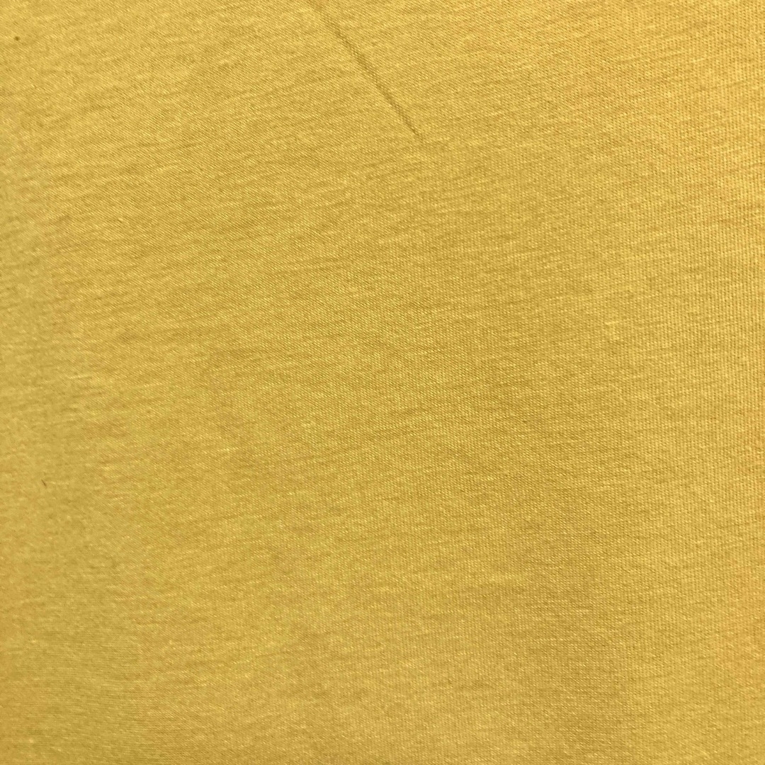 UNIQLO(ユニクロ)の美品 good day エンブロイダリー コットンTシャツ レディースのトップス(Tシャツ(半袖/袖なし))の商品写真