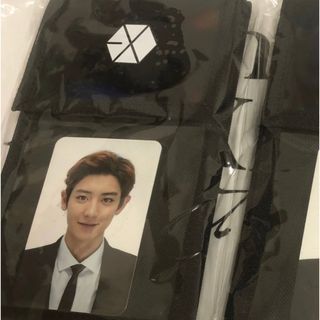 エクソ(EXO)のチャニョル  チケットホルダー(アイドルグッズ)