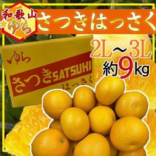 和歌山ゆら　さつきはっさく　2L-3L　約9kg(フルーツ)