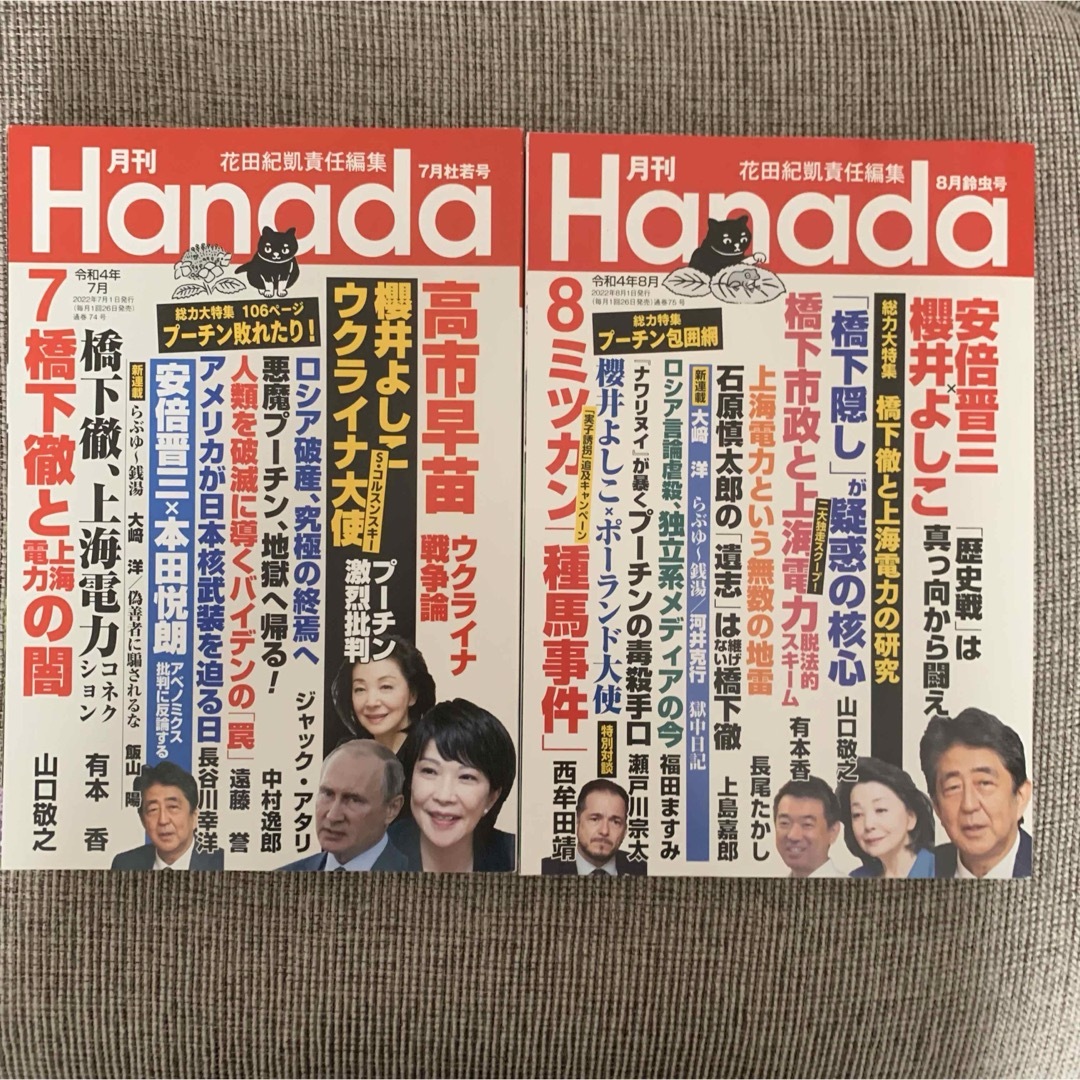 月刊Hanada  2冊セット エンタメ/ホビーの雑誌(ニュース/総合)の商品写真