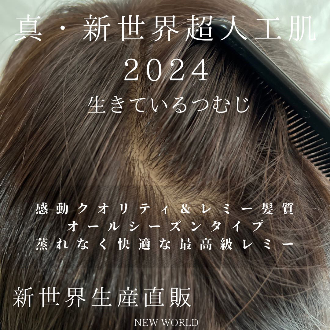 真2024新世界　人毛レミー100%　　フルウィッグ　シルクスキン　医療ウィッグ レディースのウィッグ/エクステ(ショートストレート)の商品写真