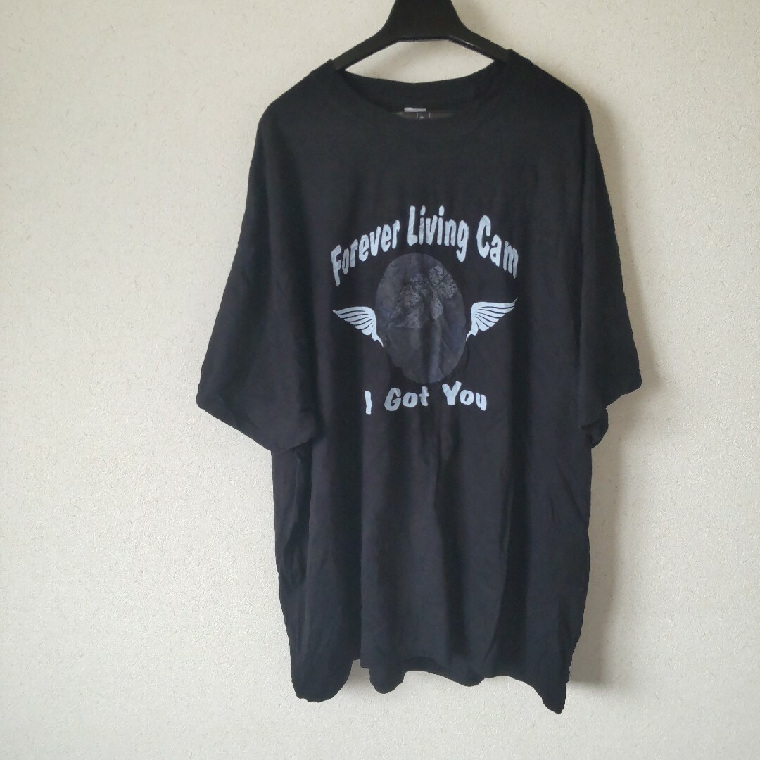 Ｔシャツ古着 メンズのトップス(Tシャツ/カットソー(半袖/袖なし))の商品写真