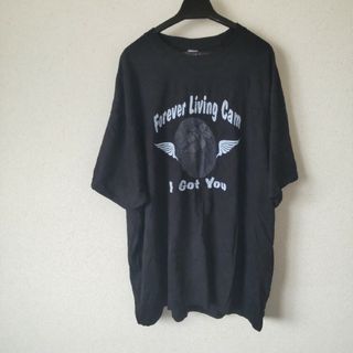 Ｔシャツ古着(Tシャツ/カットソー(半袖/袖なし))