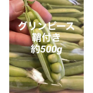 エンドウ豆 グリンピース 約500g 鞘付き 愛媛県産(野菜)