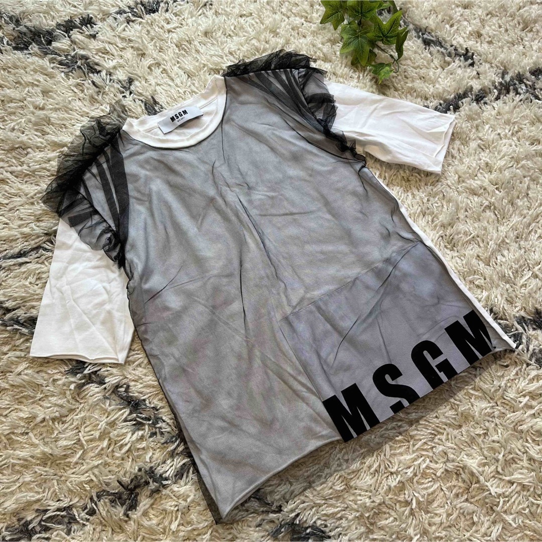 MSGM(エムエスジイエム)のMSGM  チュールTシャツ　Tシャツ　エムエスジーエム Tシャツ　ロゴTシャツ メンズのトップス(Tシャツ/カットソー(半袖/袖なし))の商品写真