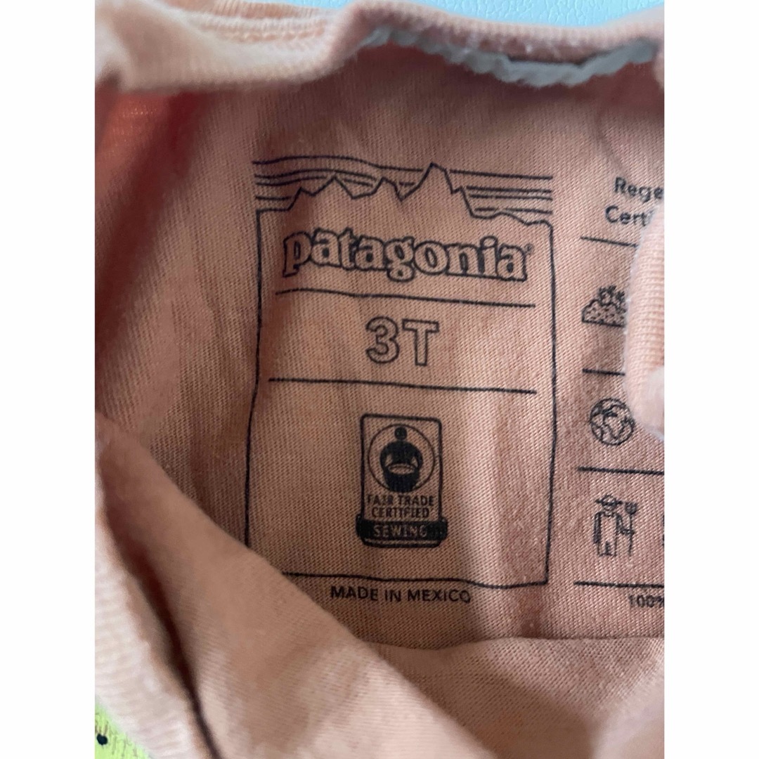 patagonia(パタゴニア)のパタゴニア　Tシャツ　3T キッズ/ベビー/マタニティのキッズ服男の子用(90cm~)(Tシャツ/カットソー)の商品写真