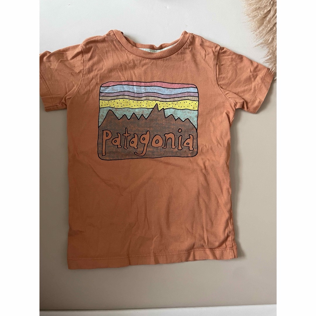 patagonia(パタゴニア)のパタゴニア　Tシャツ　3T キッズ/ベビー/マタニティのキッズ服男の子用(90cm~)(Tシャツ/カットソー)の商品写真