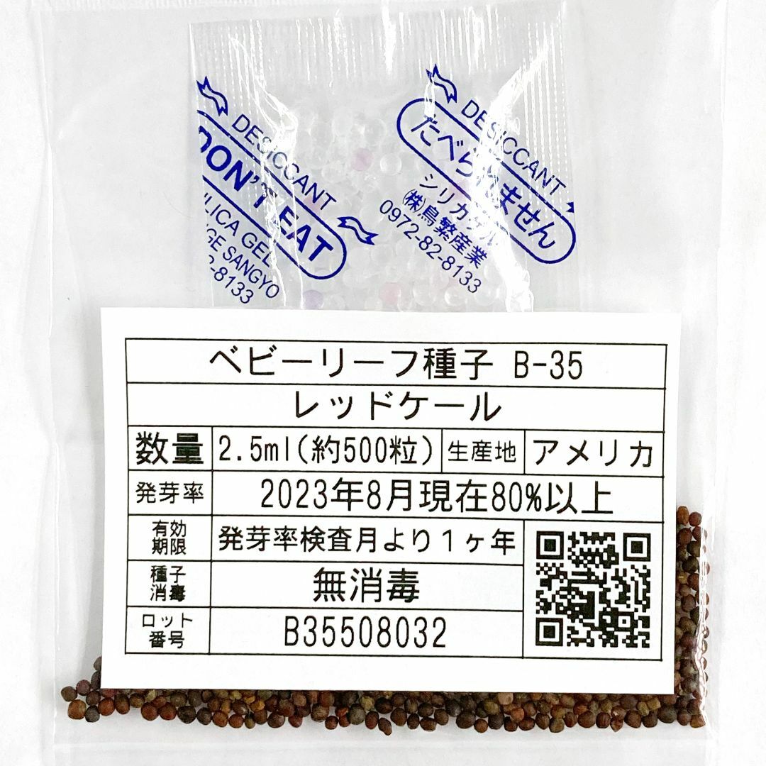 ベビーリーフ種子 B-35 レッドケール 2.5ml 約500粒 x 2袋 食品/飲料/酒の食品(野菜)の商品写真