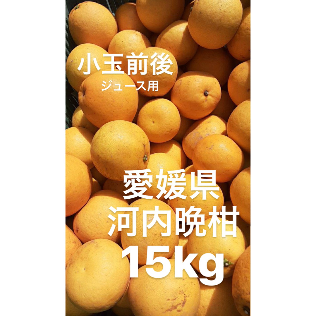 訳あり品　愛媛県産　河内晩柑　宇和ゴールド　柑橘　ジュース用　15kg 食品/飲料/酒の食品(フルーツ)の商品写真