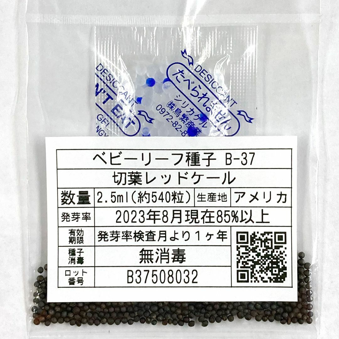 ベビーリーフ種子 B-37 切葉レッドケール 2.5ml 約540粒 x 2袋 食品/飲料/酒の食品(野菜)の商品写真