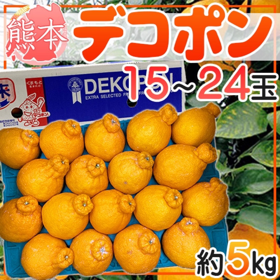 熊本県産　デコポン　15〜24玉　約5kg 食品/飲料/酒の食品(フルーツ)の商品写真