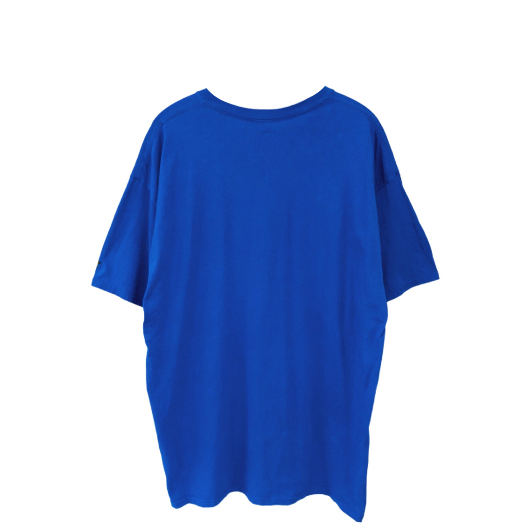 Russell Athletic(ラッセルアスレティック)のNCAA　フロリダ大学　ゲイターズ　Tシャツ　XL　青　USA古着 メンズのトップス(Tシャツ/カットソー(半袖/袖なし))の商品写真