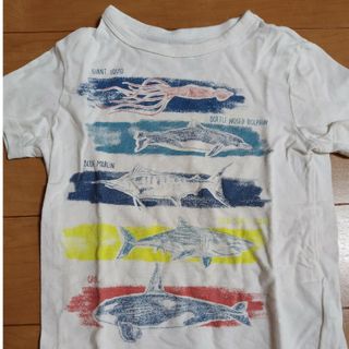 ギャップ(GAP)のGAPのTシャツ(Tシャツ/カットソー)