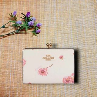 コーチ(COACH)のCOACH　コインケース（ミニ財布）　チョークマルチ(財布)