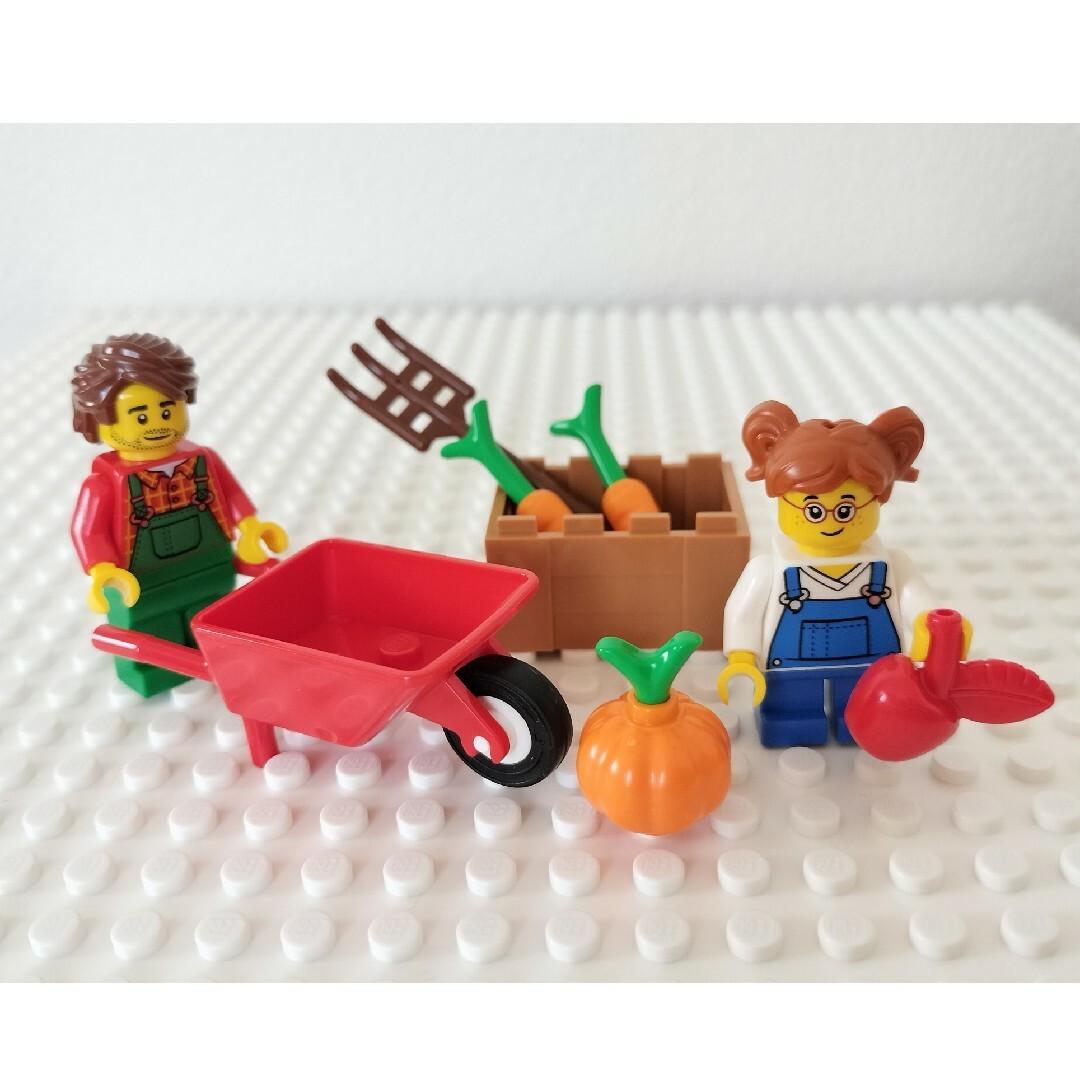 Lego(レゴ)の【新品】レゴ　ファーマーセット キッズ/ベビー/マタニティのおもちゃ(知育玩具)の商品写真