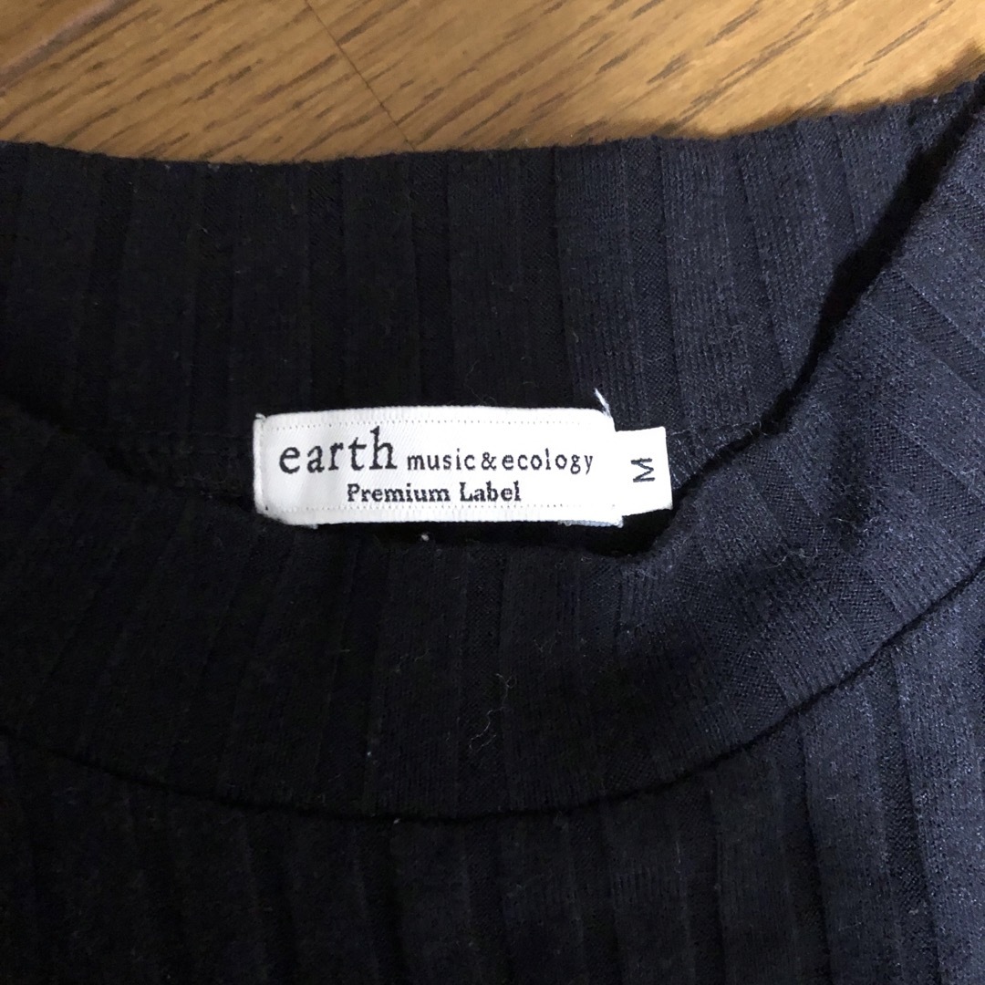 earth 長袖Tシャツ　M レディースのトップス(Tシャツ(長袖/七分))の商品写真