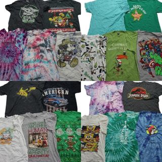 古着卸 まとめ売り カラーmix プリント 半袖Tシャツ 20枚 (メンズ L ) タイダイ 映画 企業 キャラクター 大判 アメコミ アニマル MS6437(その他)