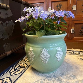 A817 アンティーク瀬戸焼　青磁　水鉢　鉢カーバー　サイドテーブル(花瓶)