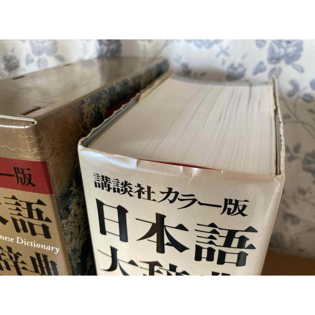 講談社(コウダンシャ)の日本語大辞典　講談社カラー版／　　新版　漢語林 エンタメ/ホビーの本(語学/参考書)の商品写真