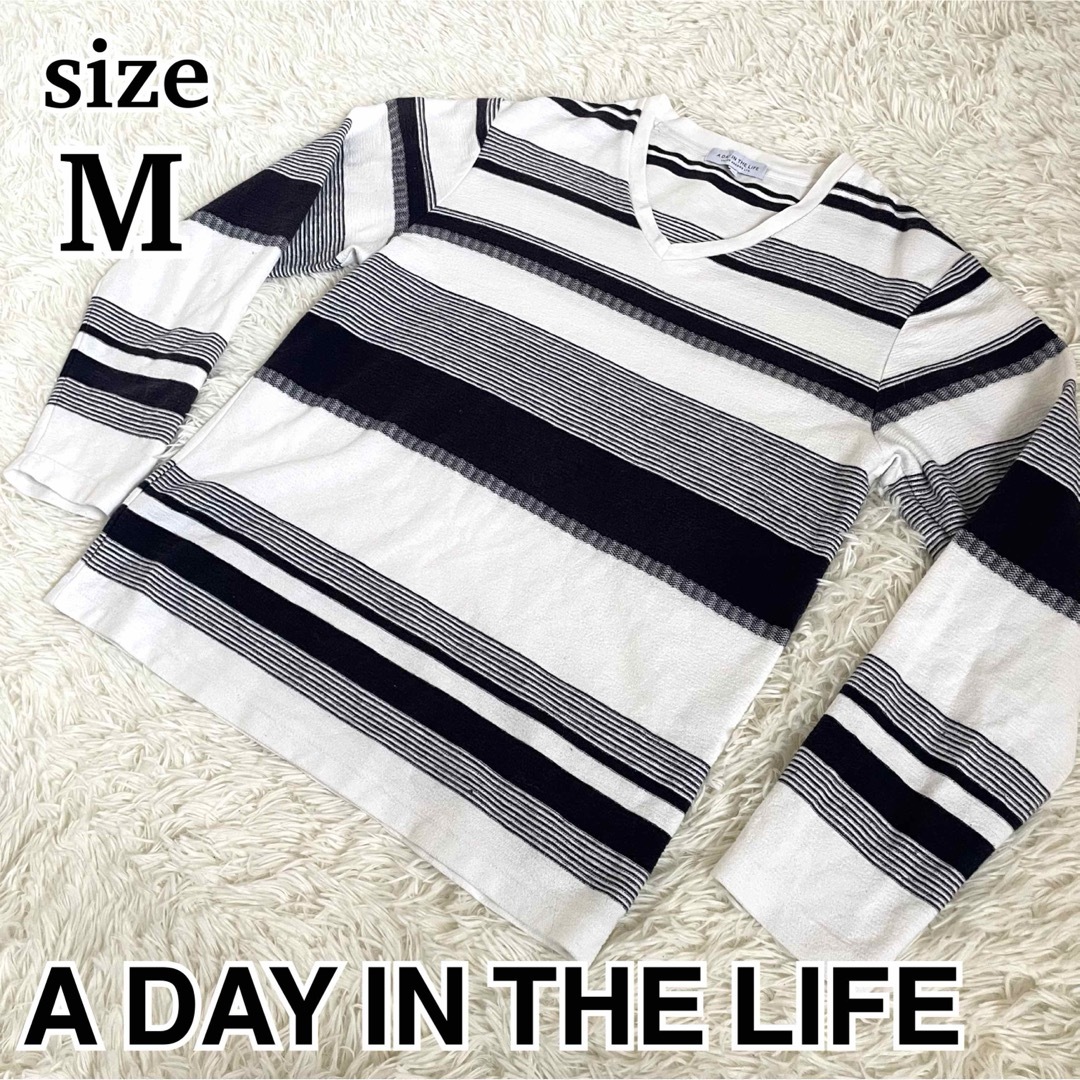 a day in the life(アデイインザライフ)のユナイテッドアローズ　長袖　ボーダー　M　Vネック　コットン　白　紺 メンズのトップス(Tシャツ/カットソー(七分/長袖))の商品写真