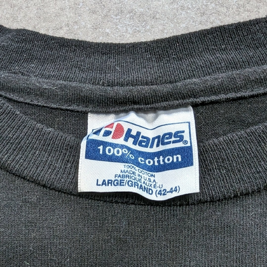 Hanes(ヘインズ)のThe The 1993 Dusk T-Shirt メンズのトップス(Tシャツ/カットソー(半袖/袖なし))の商品写真