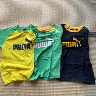 プーマ(PUMA)のPUMA 140cm  ３枚(Tシャツ/カットソー)