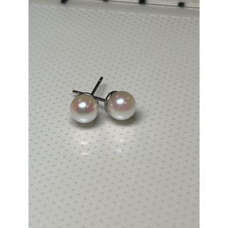 本真珠ピアス　あこや真珠5.5mm(ピアス)