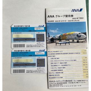 エーエヌエー(ゼンニッポンクウユ)(ANA(全日本空輸))のana 株主優待券　2枚(航空券)