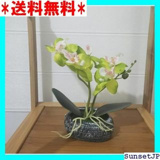 ☆母の日☆ 胡蝶蘭 人工観葉植物 光触媒加工 造花 卓上型 日 石鉢 緑 265(その他)