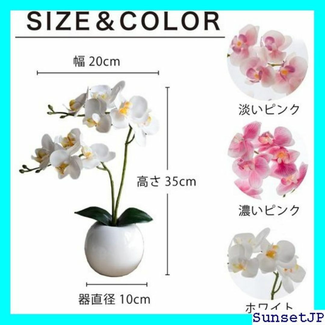 ☆母の日☆ Kugusa ミニ 胡蝶蘭 造花 鉢植え イン ワイト 丸鉢 266 インテリア/住まい/日用品のインテリア/住まい/日用品 その他(その他)の商品写真