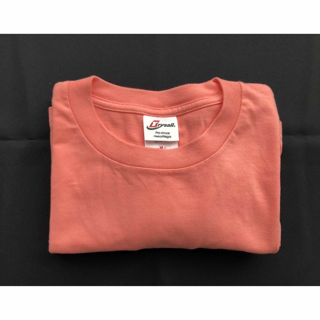 【新品未使用・暗所保管品】Trysail ヘビーウェイト Tシャツ Mサイズ メンズのトップス(Tシャツ/カットソー(半袖/袖なし))の商品写真