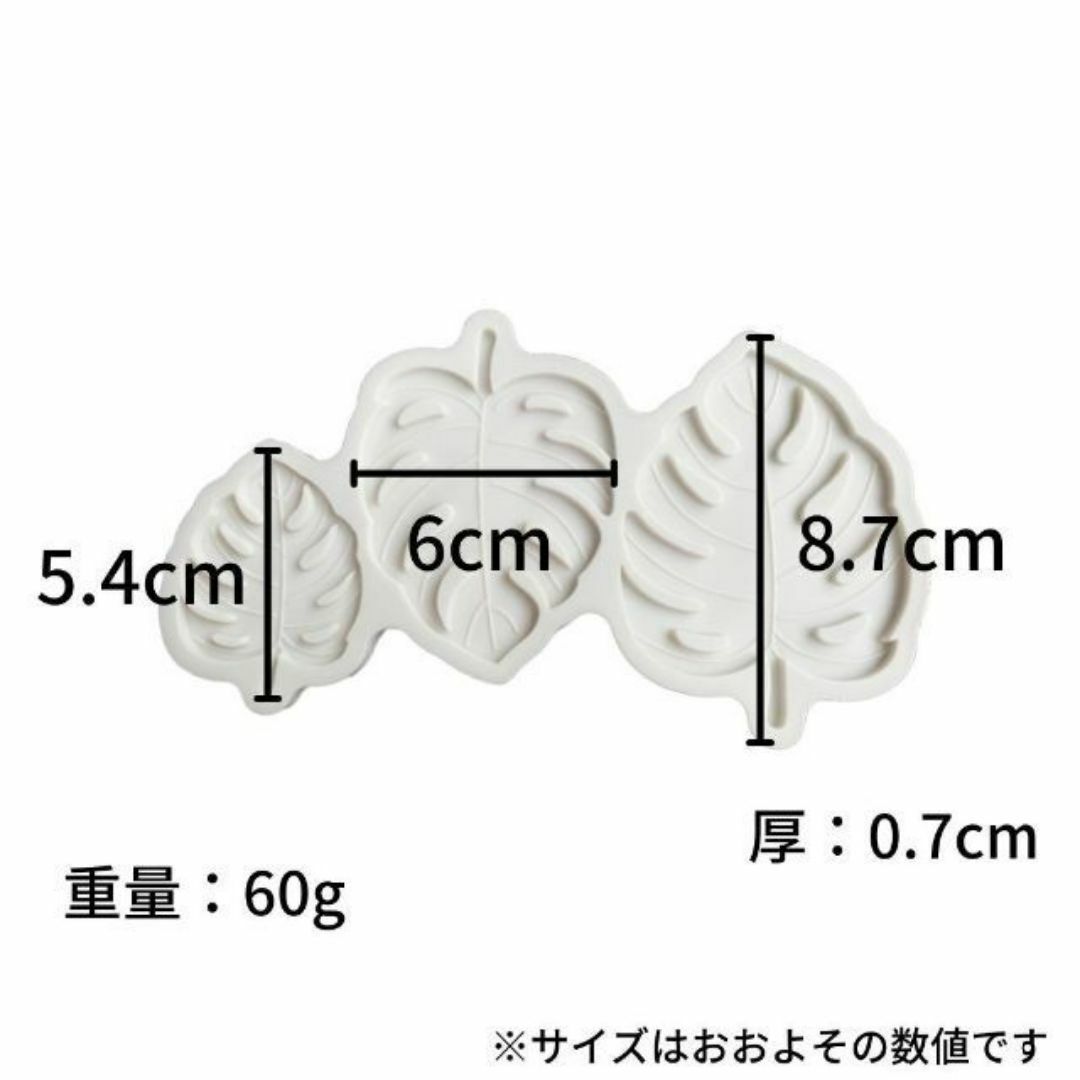 シリコン モールド モンステラ レジン型 アクセサリー 匿名配送 毎日発送 ハンドメイドの素材/材料(型紙/パターン)の商品写真