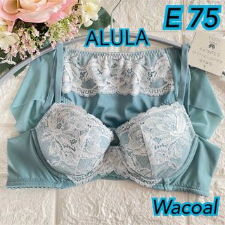 ワコール(Wacoal)のWacoal アルラ なめらかスムージーフィット 上下セットE75❣️水色♡ᵕ̈(ブラ&ショーツセット)