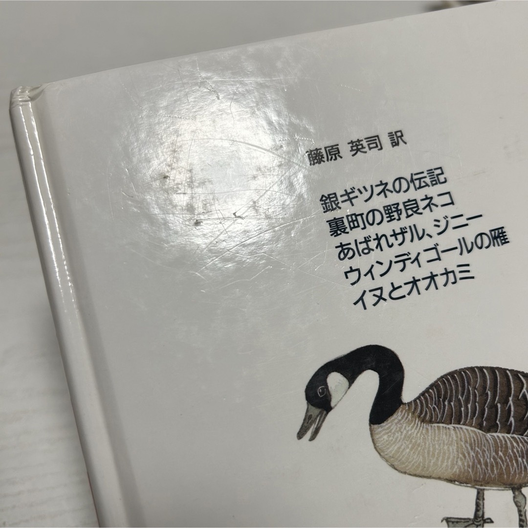 集英社(シュウエイシャ)のシートン動物記 全巻セット 全8巻+ 別巻 シートン伝記 集英社 児童書 エンタメ/ホビーの本(絵本/児童書)の商品写真