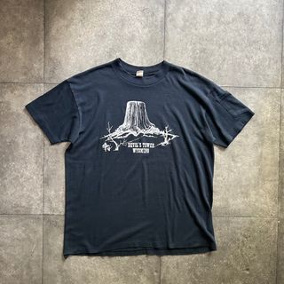 80s ヴィンテージtシャツ USA製 デビルスタワー ダークネイビー L(Tシャツ/カットソー(半袖/袖なし))