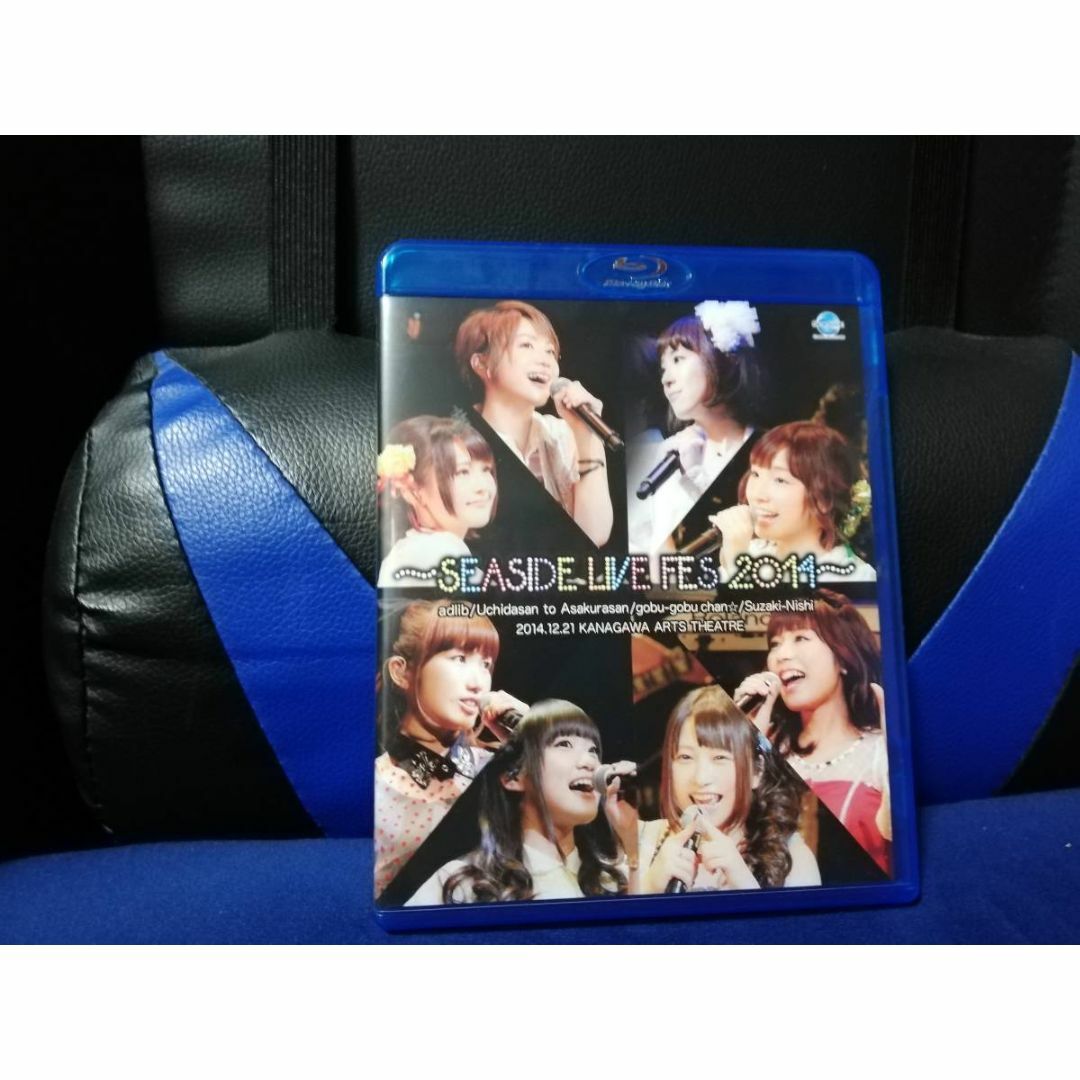 ≪ブルーレイ ≫ SEASIDE LIVE FES 2014～ エンタメ/ホビーのDVD/ブルーレイ(ミュージック)の商品写真